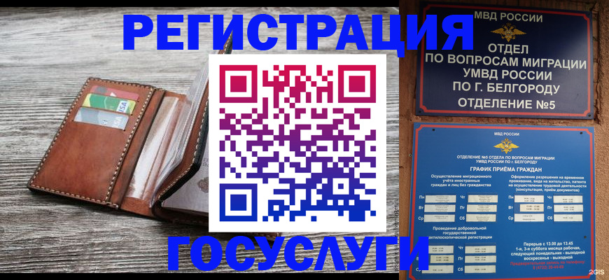 временная регистрация гарантия в Эртили